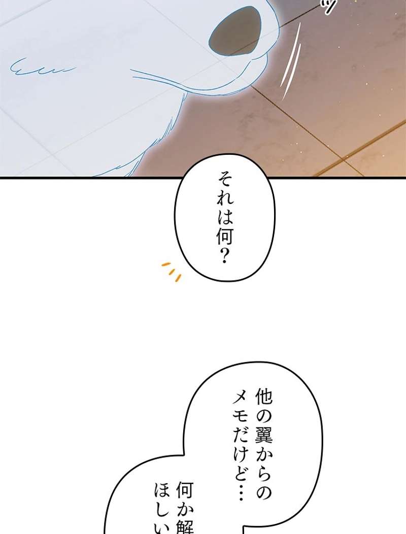 P63