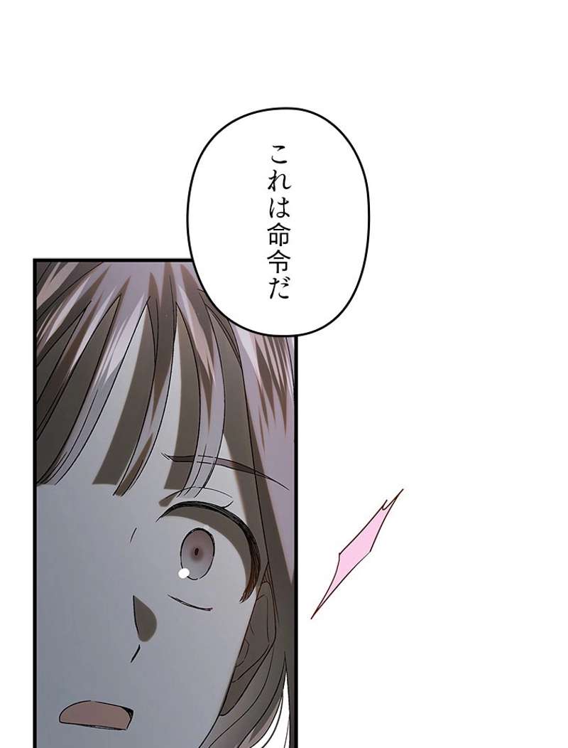 P53