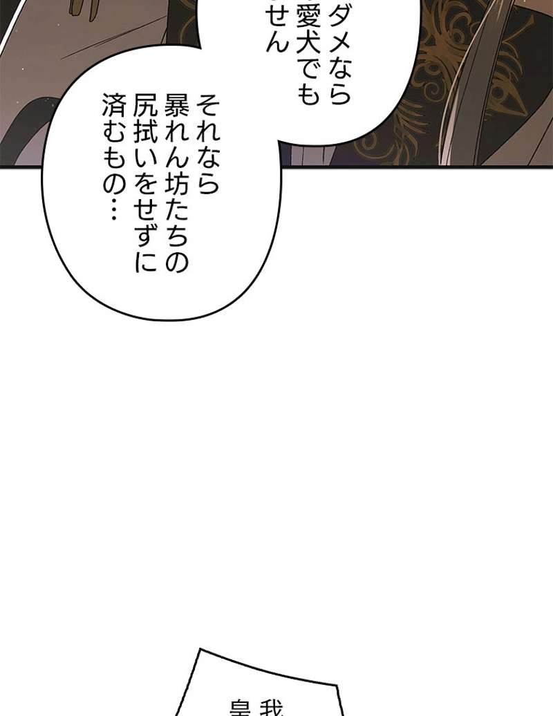 P66