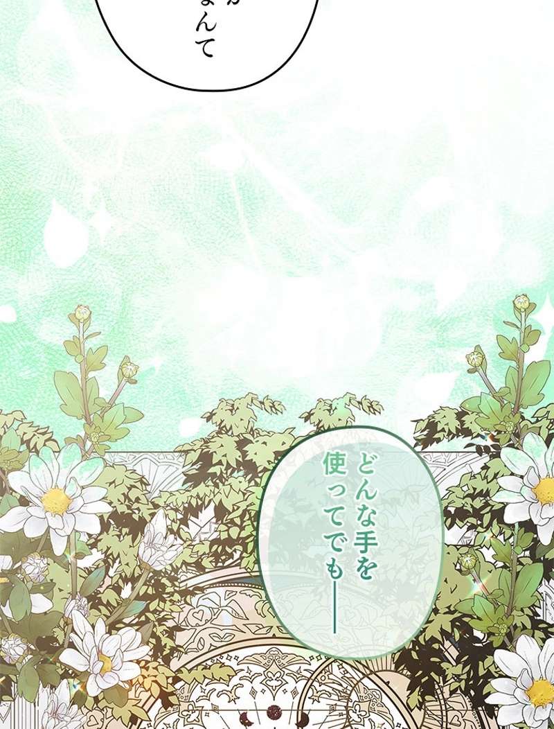 P81