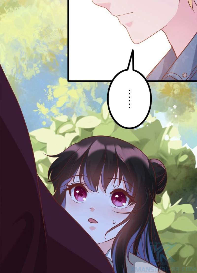 P61