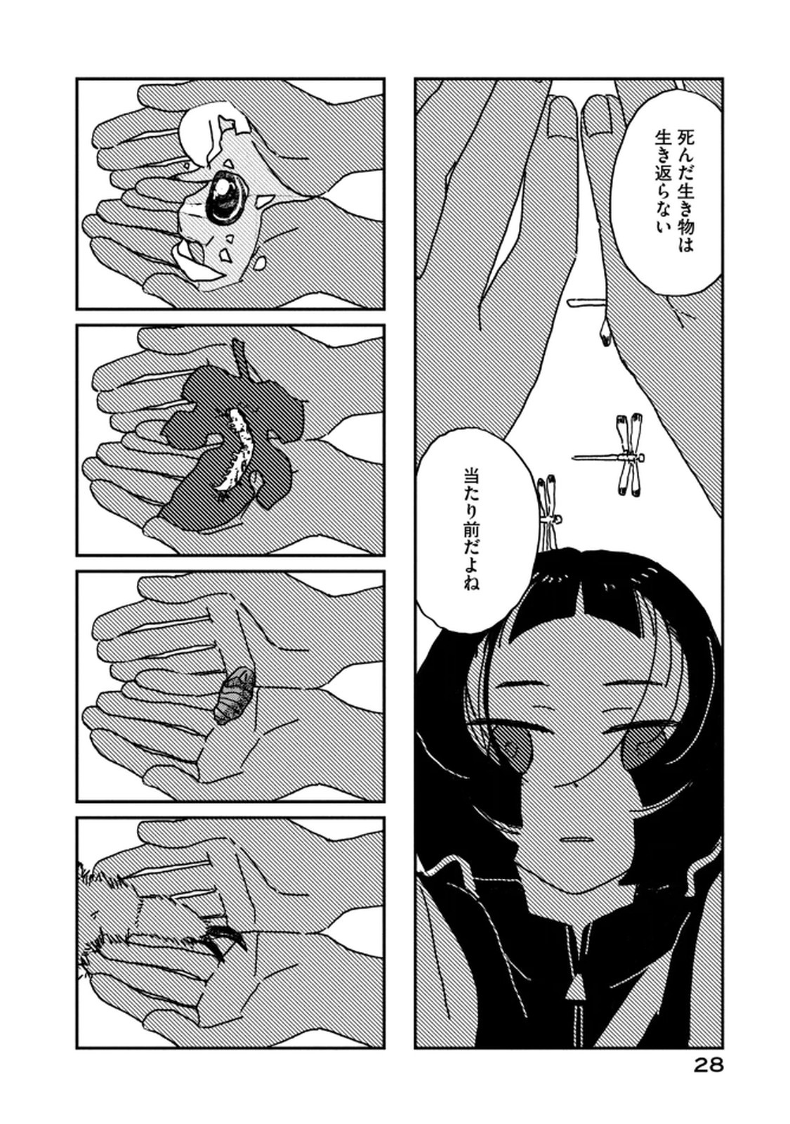 P26