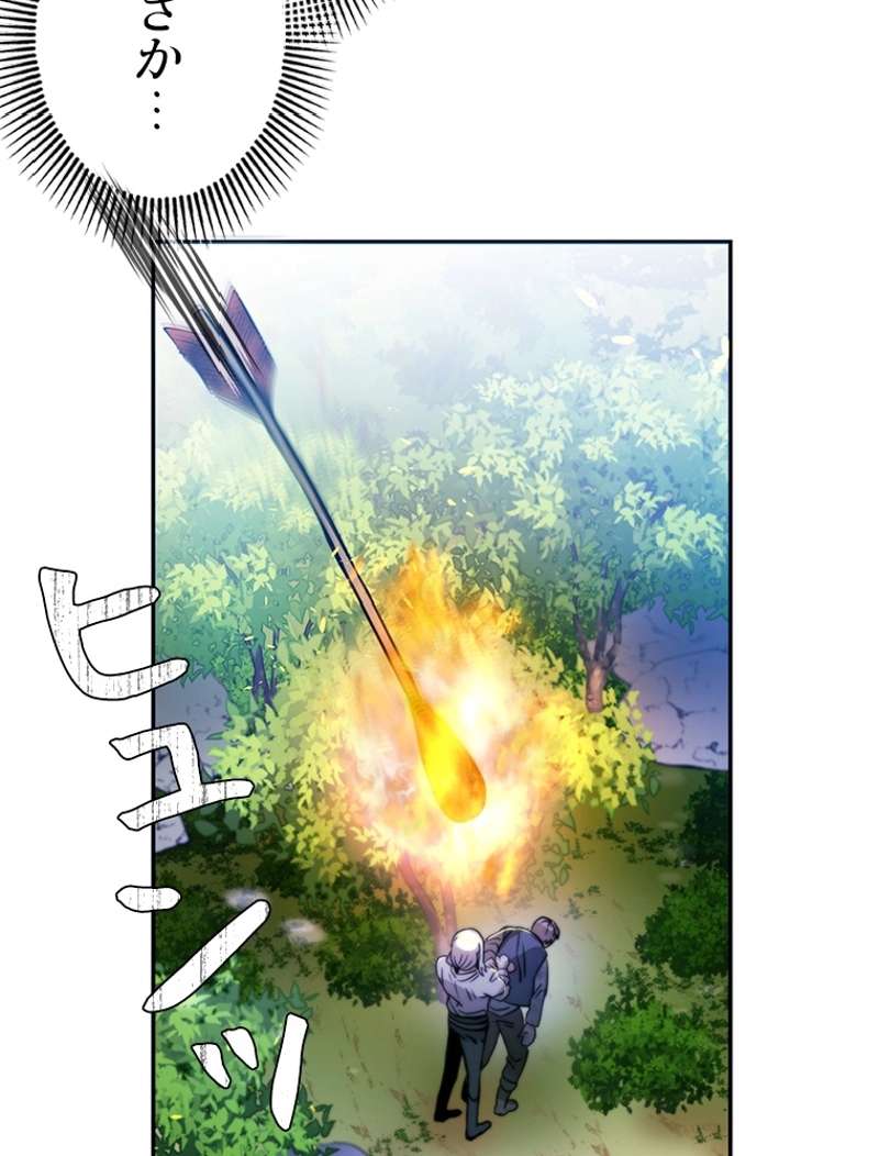 P61