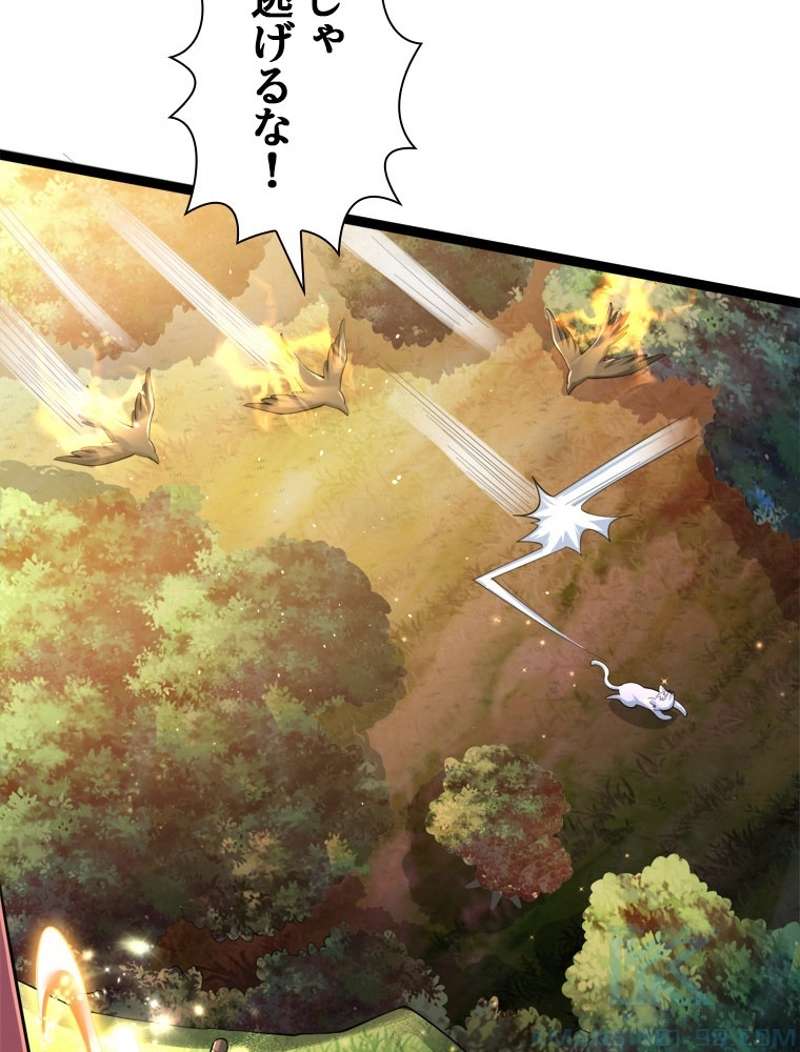 P40