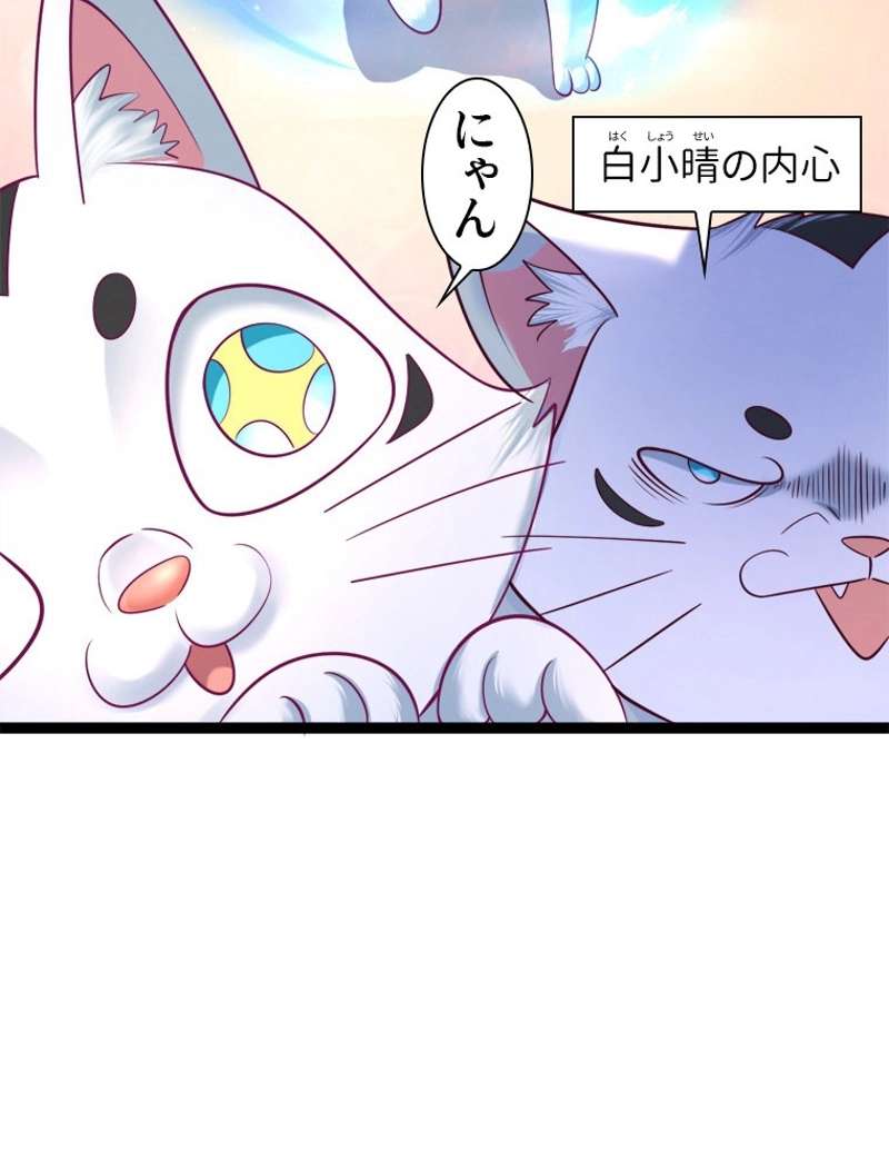 P65