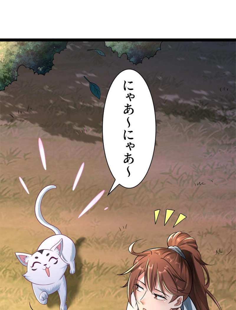P66
