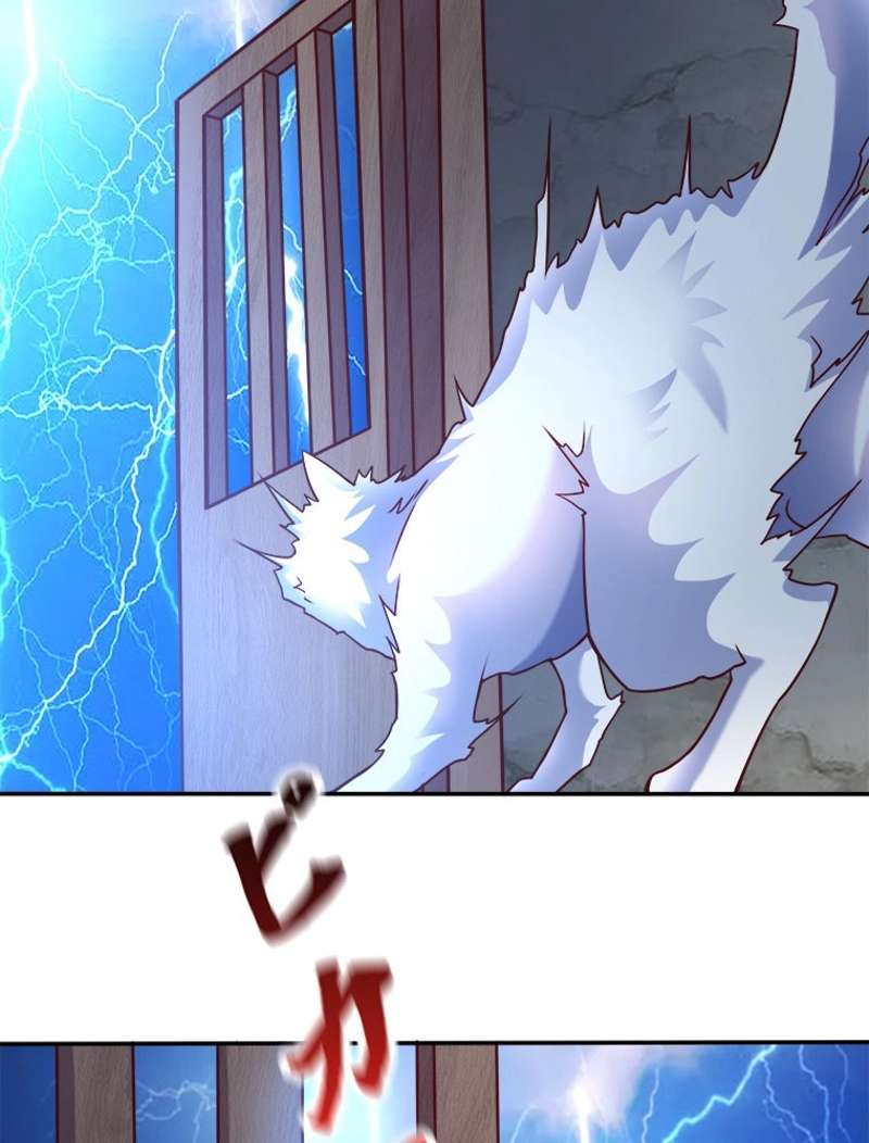 P42