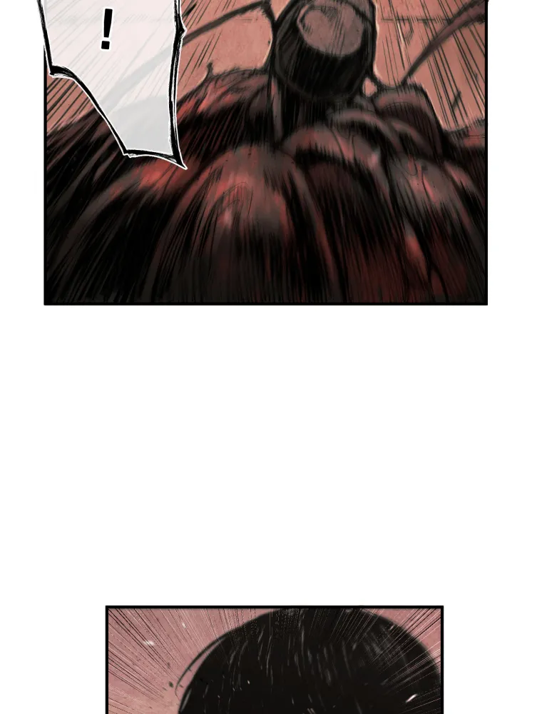 P24