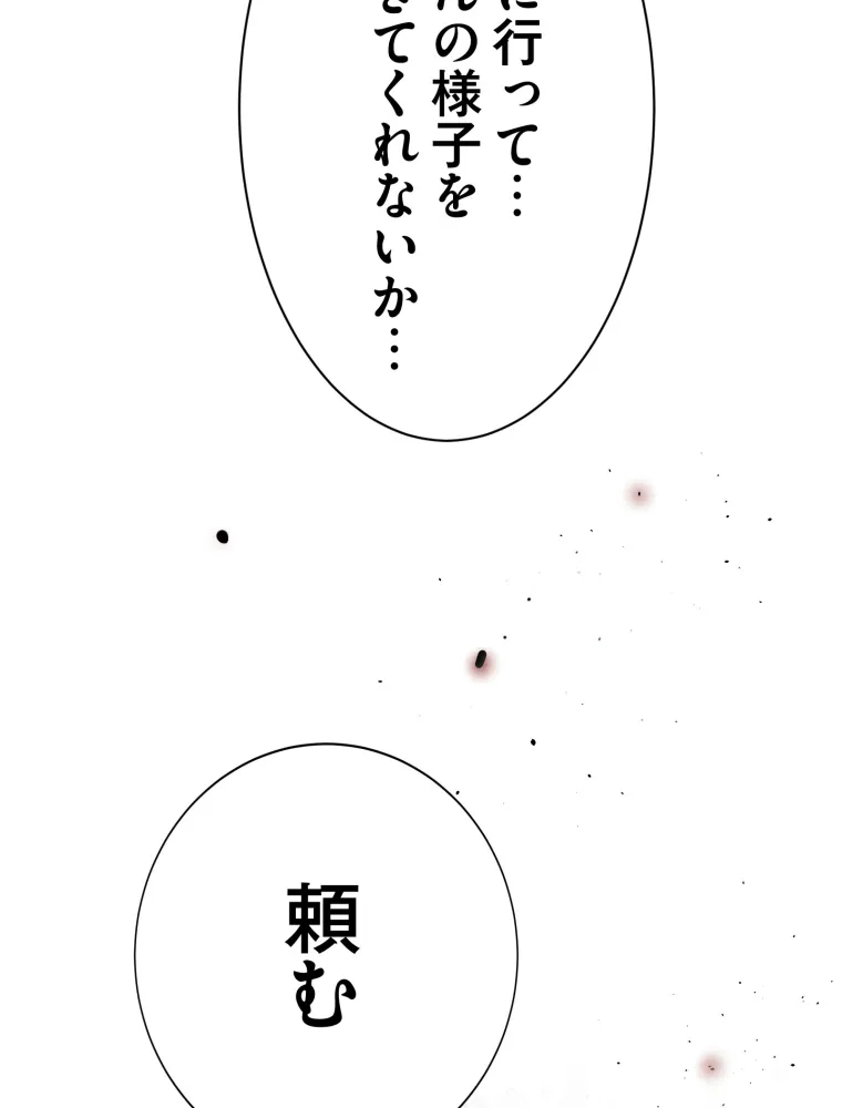 P63