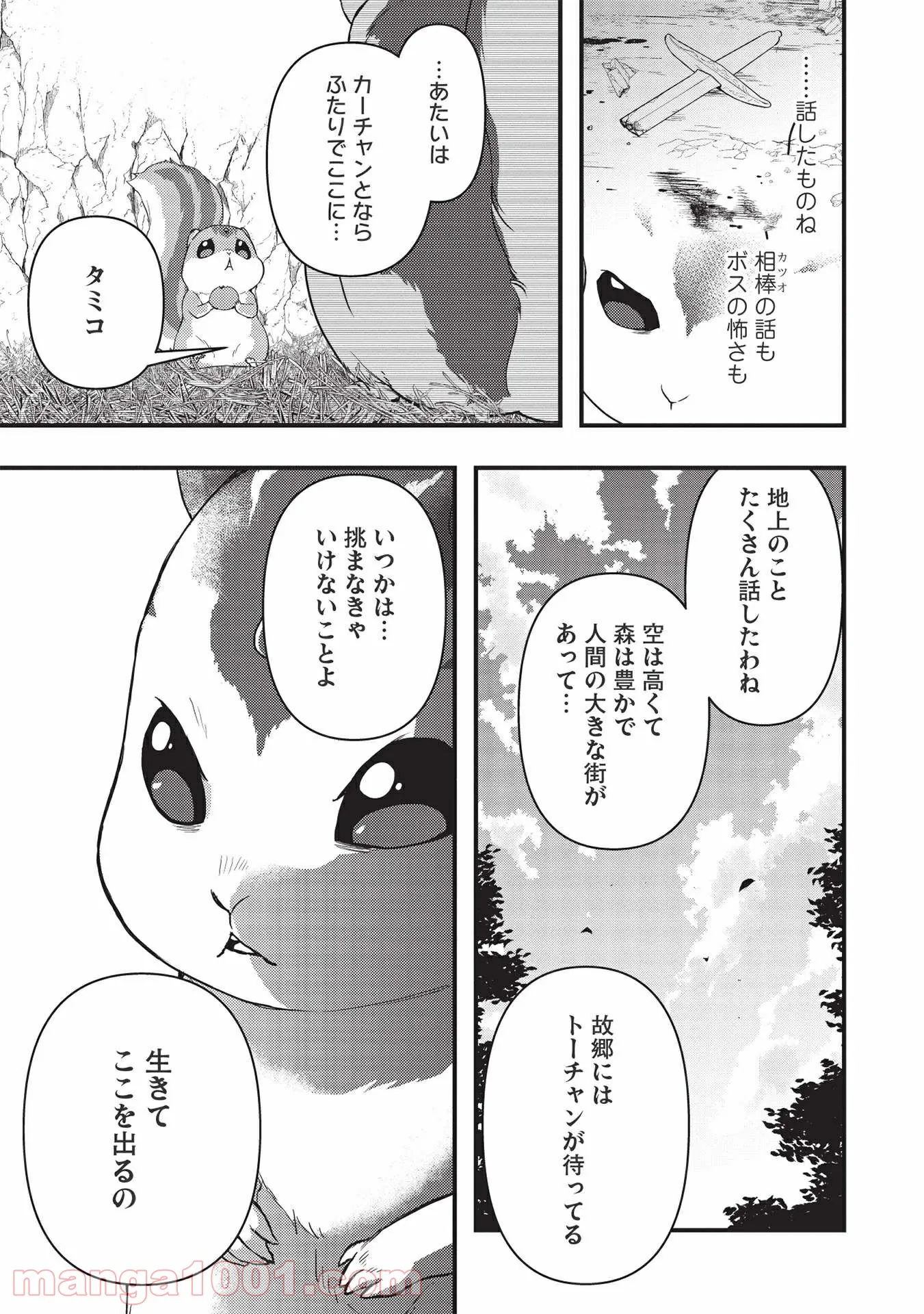 P11