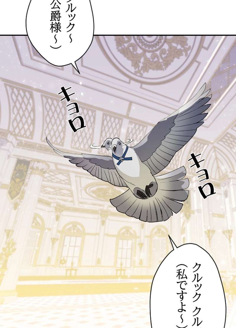 P154