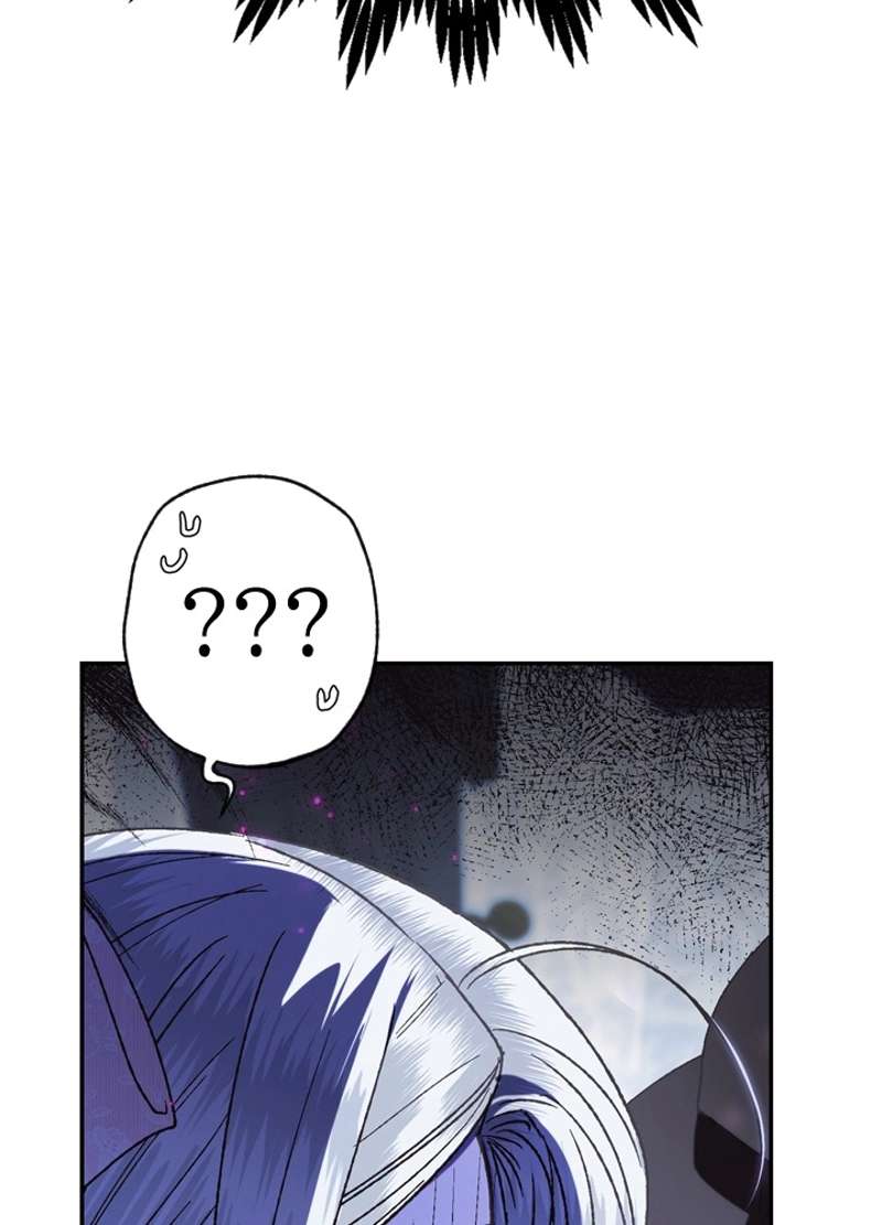 P48