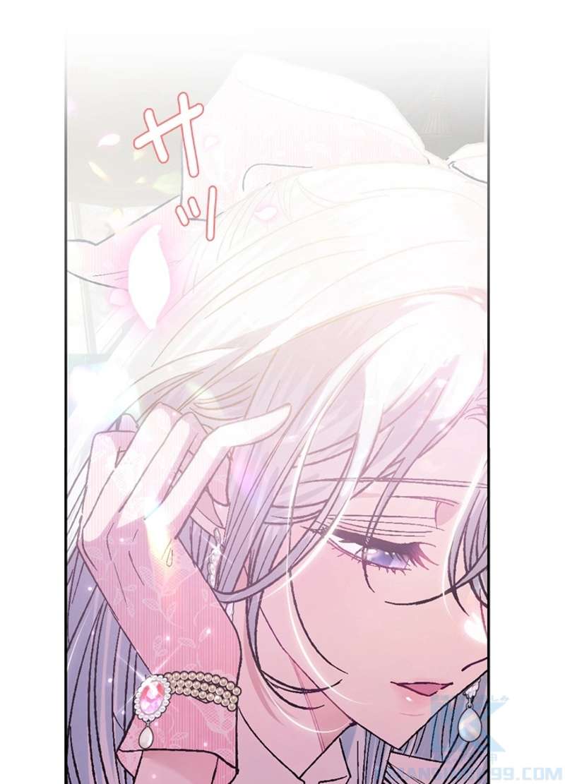 P62