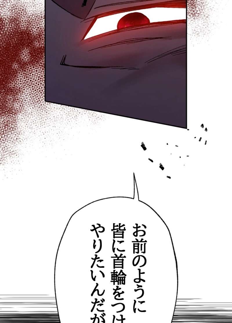 P66