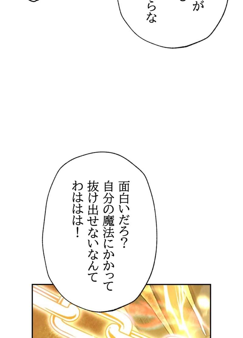 P61