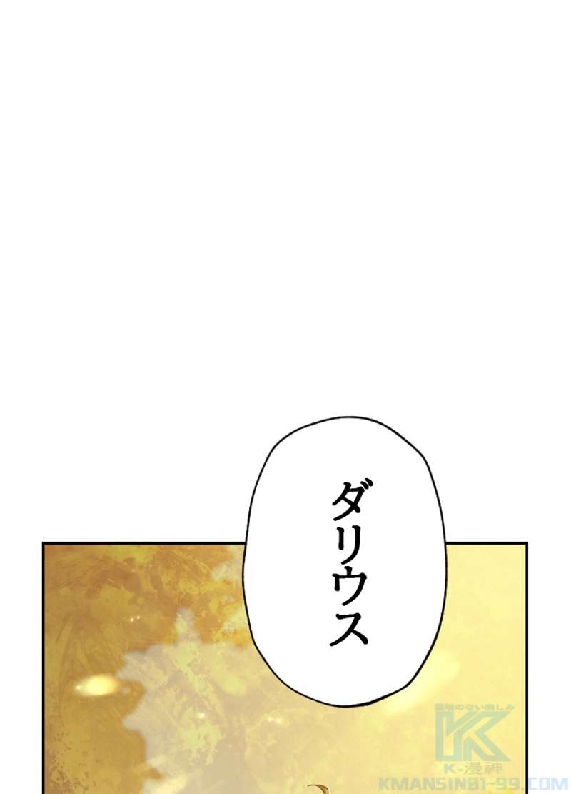 P65