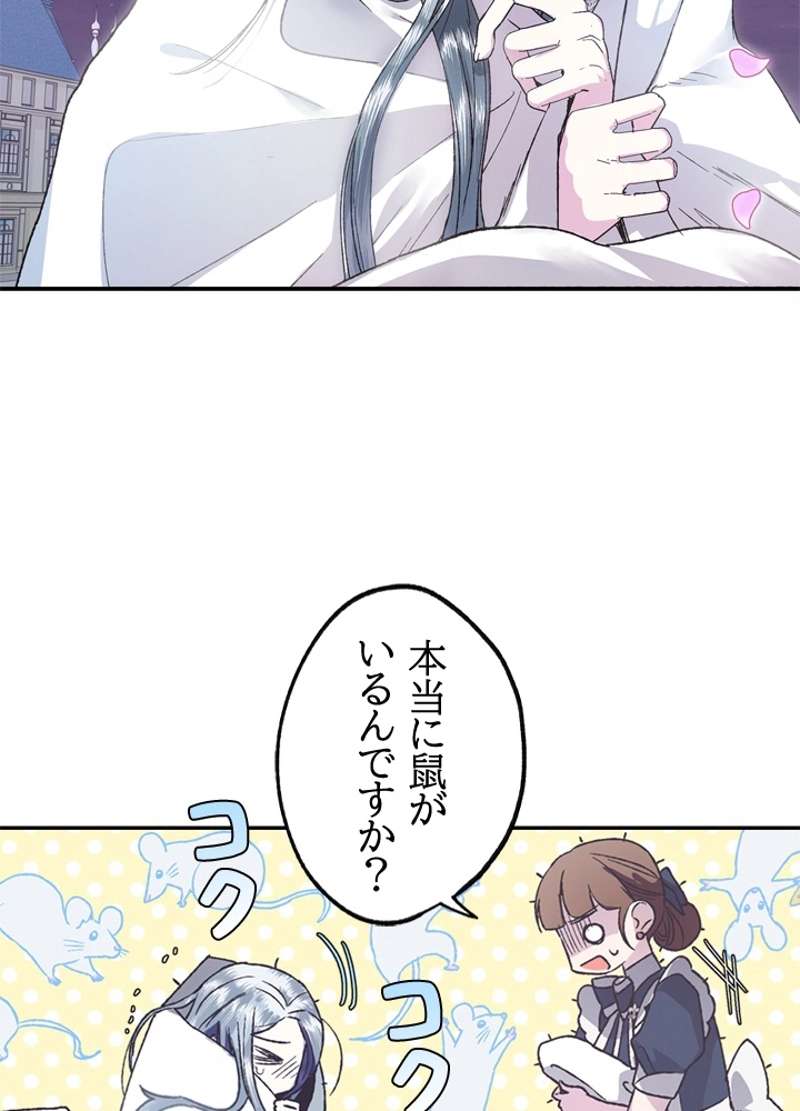 P81