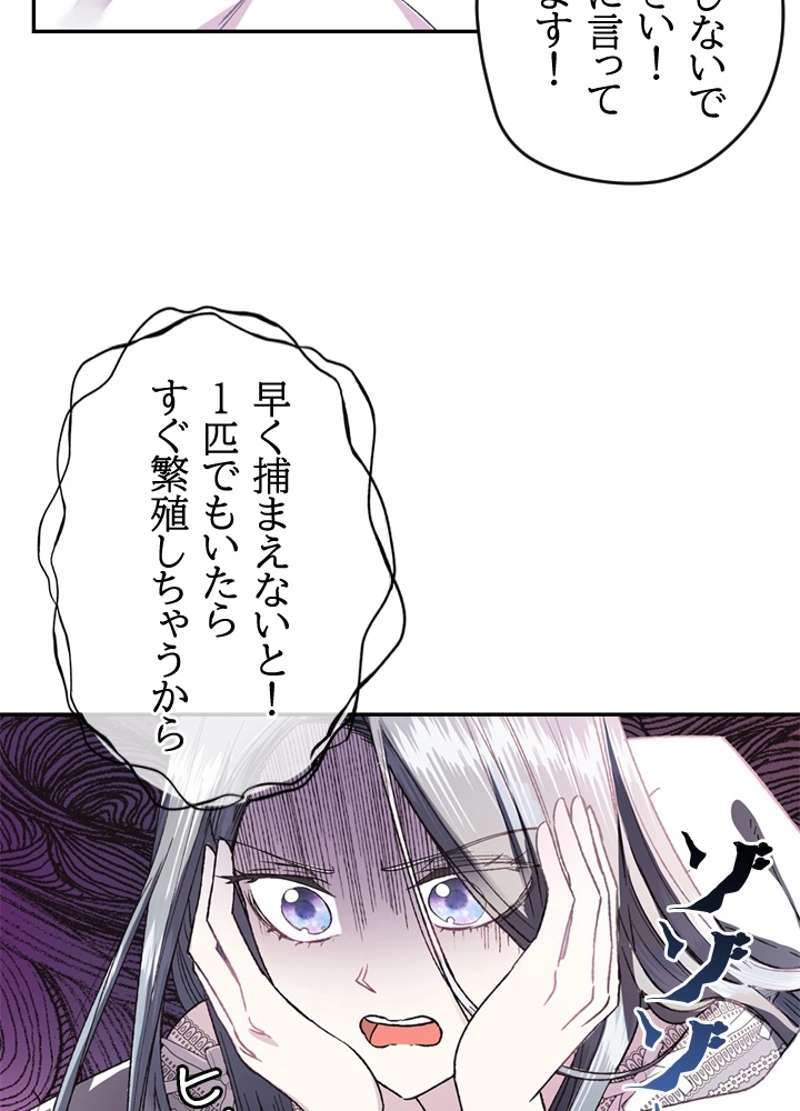 P84