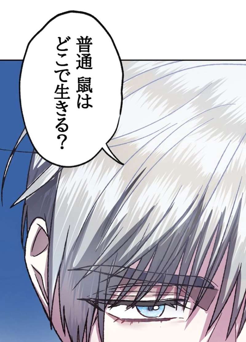 P91