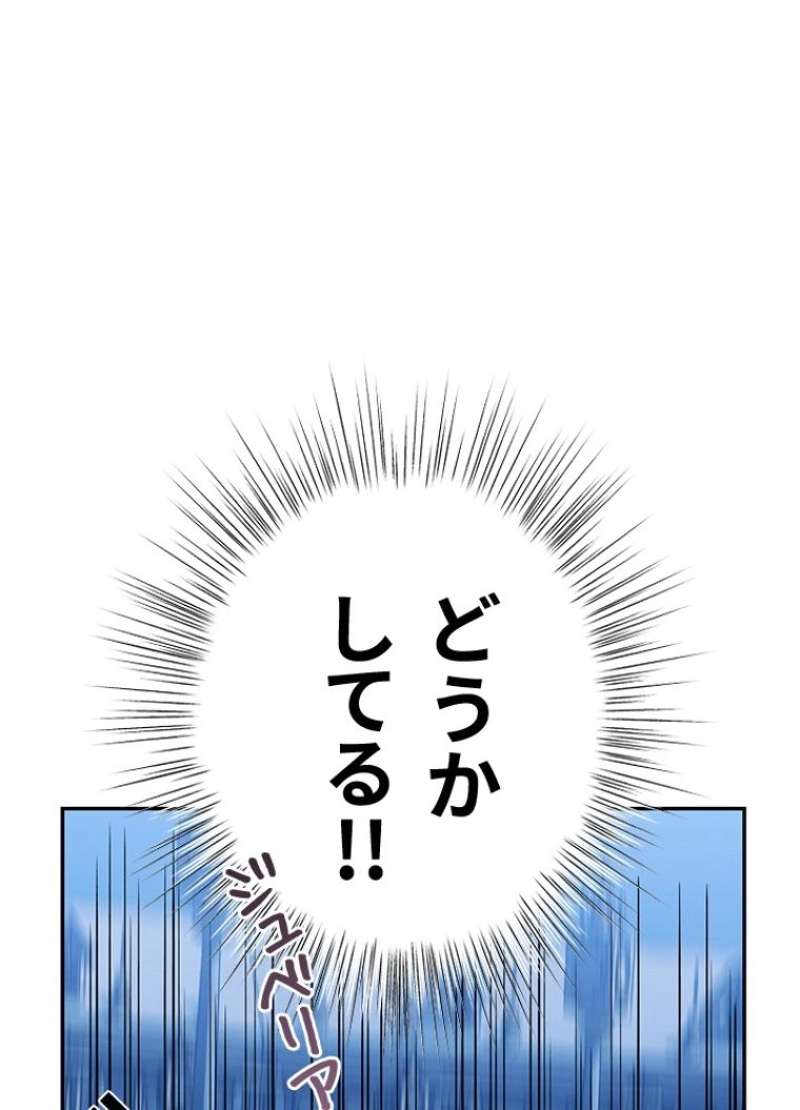 P61
