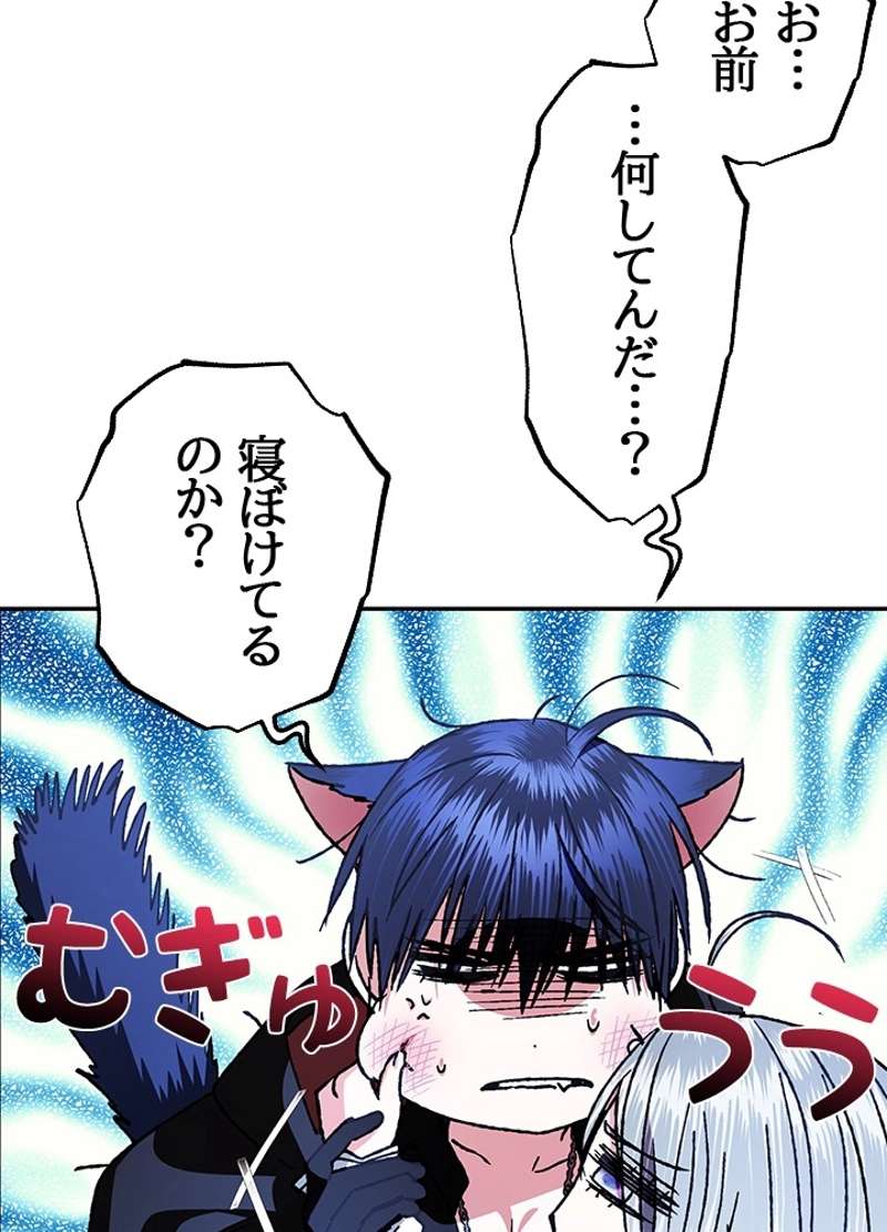 P58