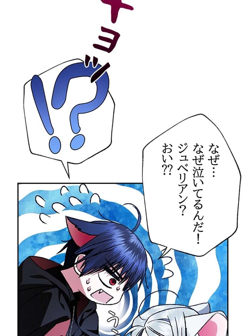 P64