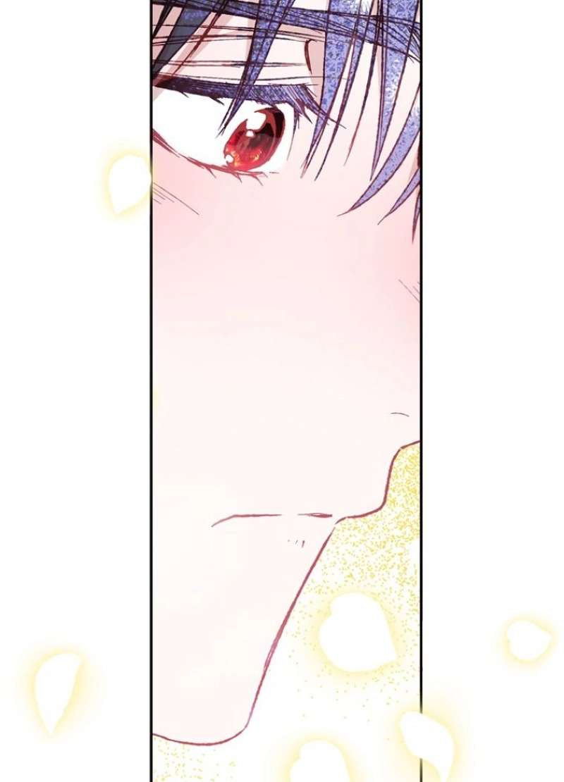 P81