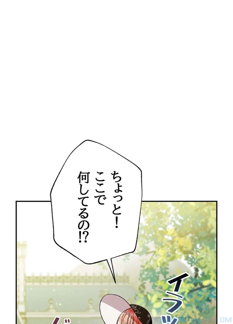 P41