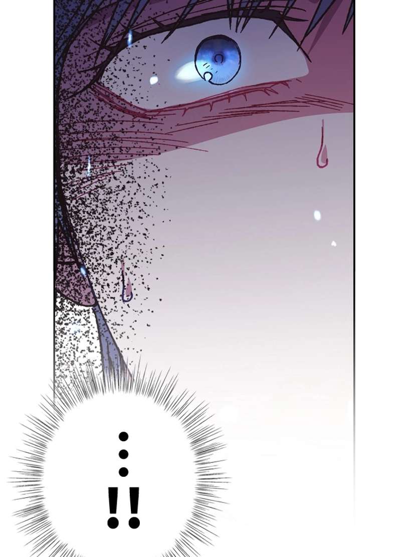 P61