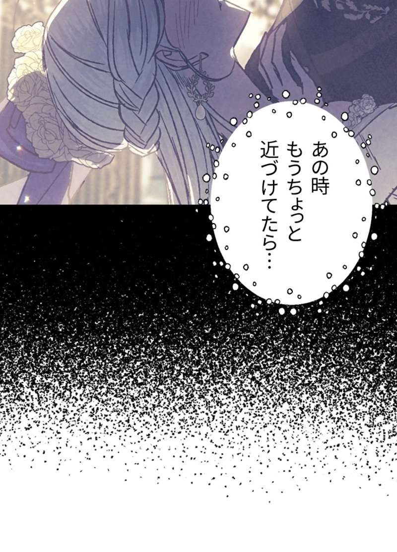 P66