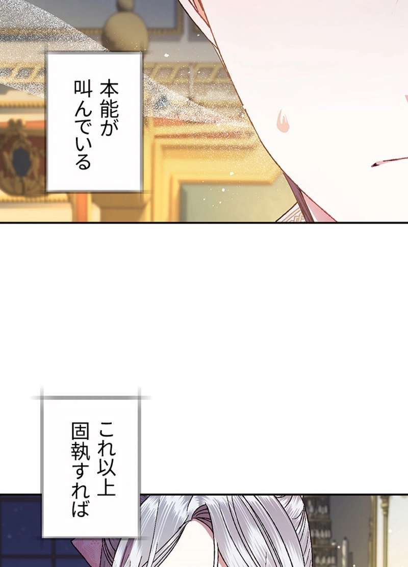 P48