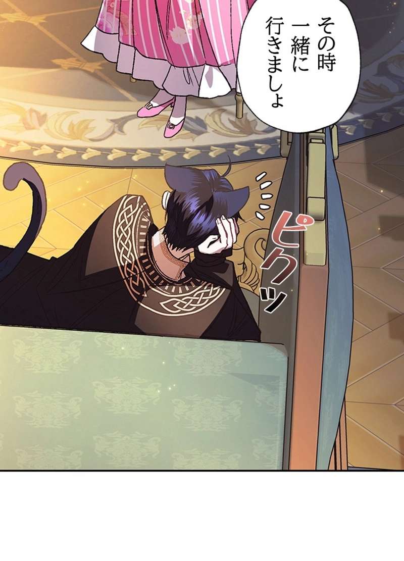 P66