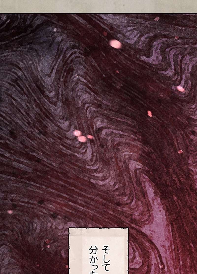 P61