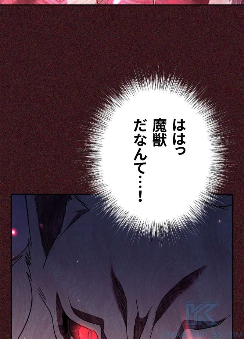 P53