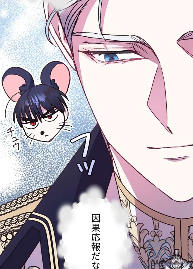 P53