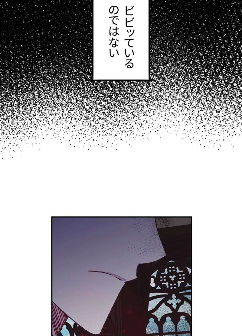 P58