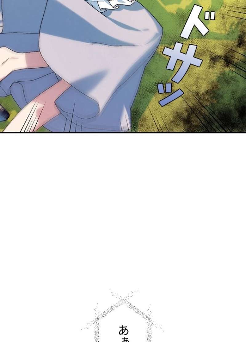 P58