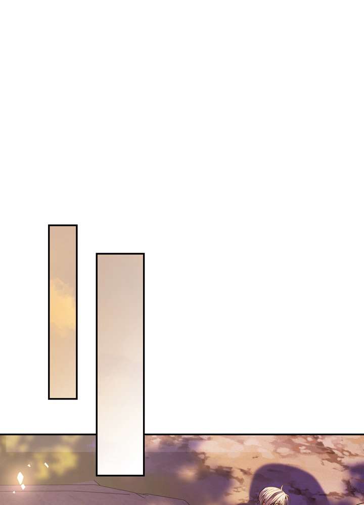 P65