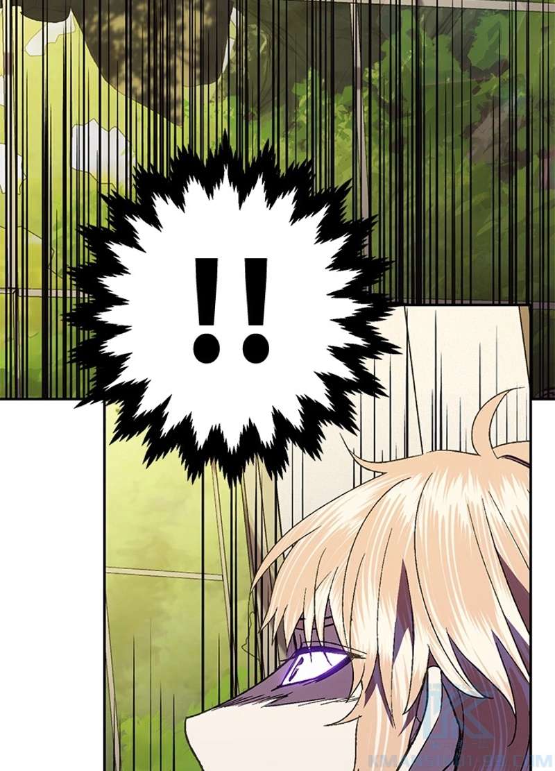 P65