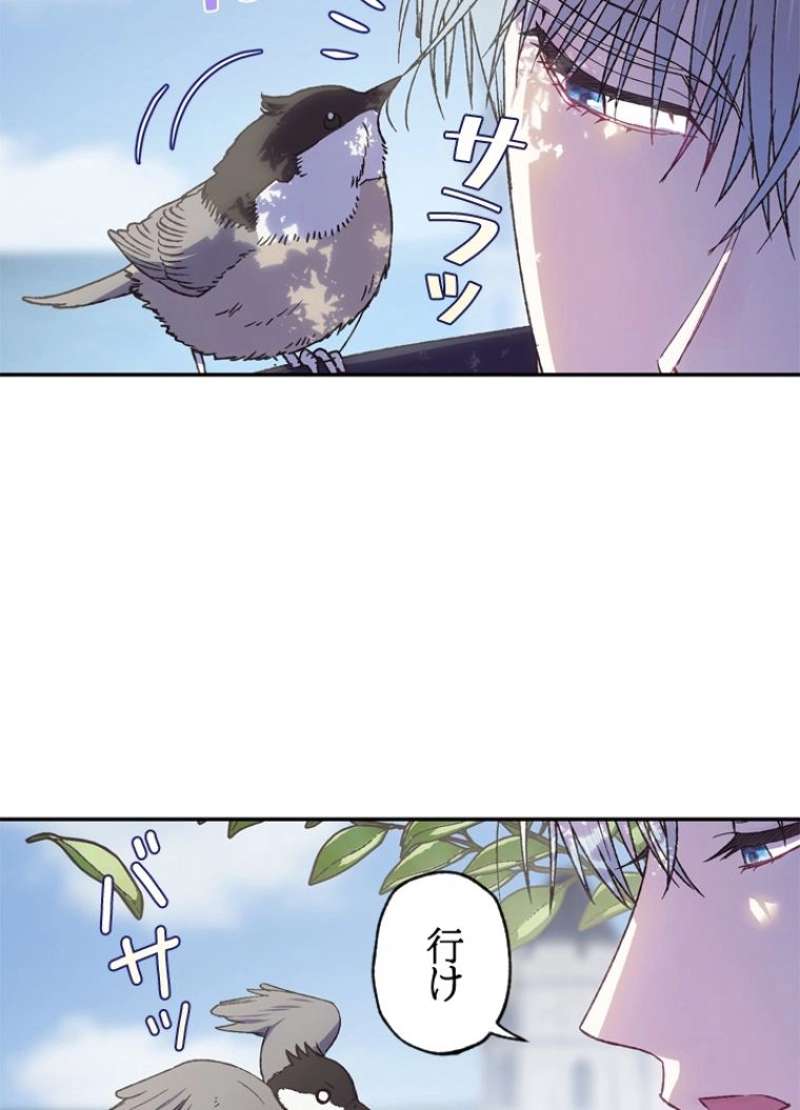 P66