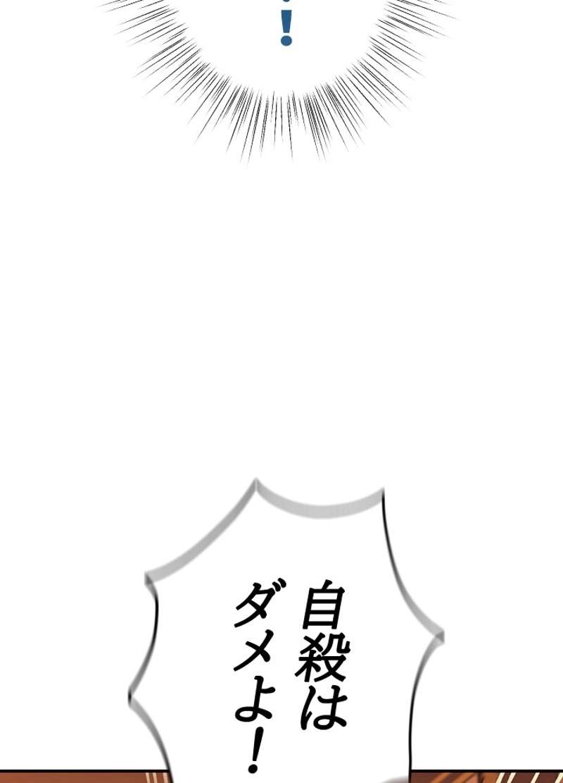 P63
