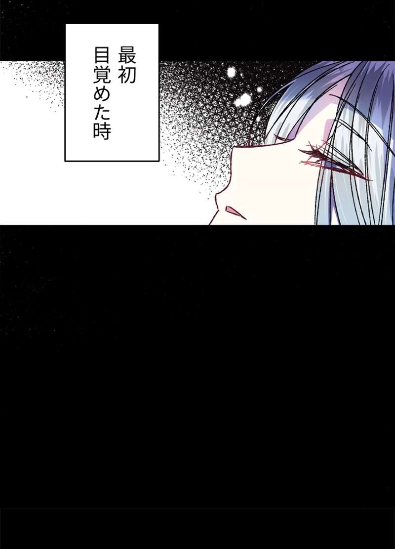 P58