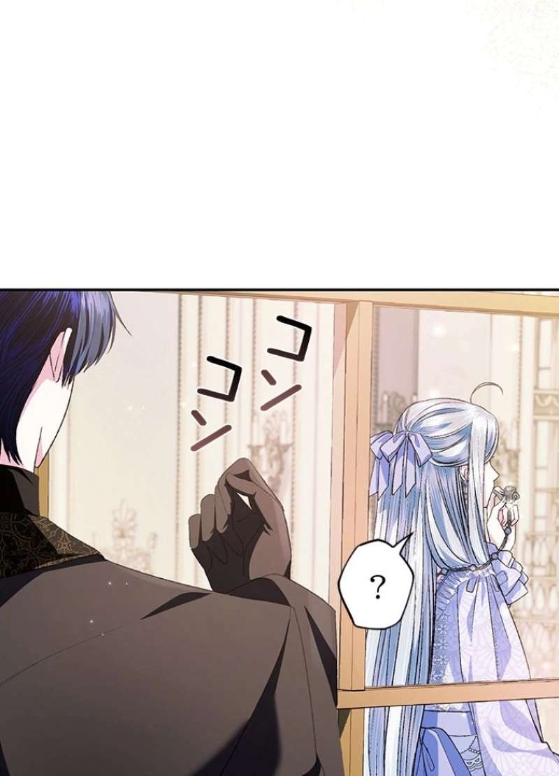 P66