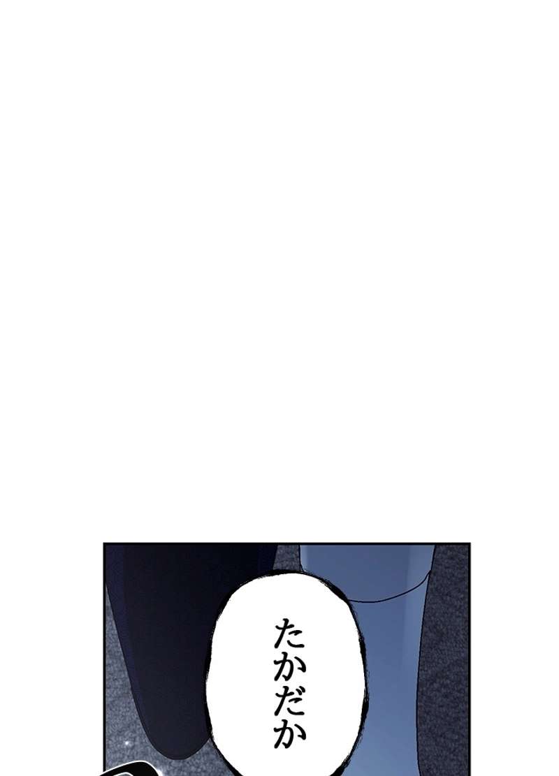 P133