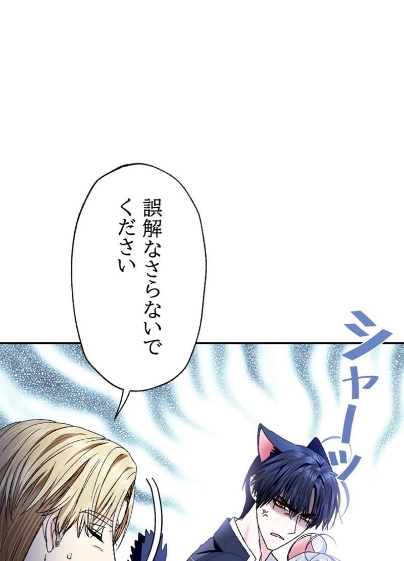 P87