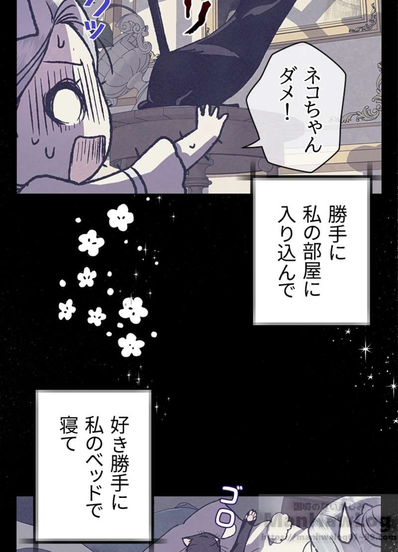 P65