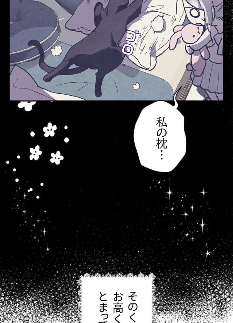 P66