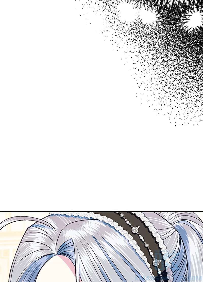 P53
