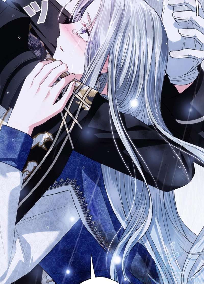 P53