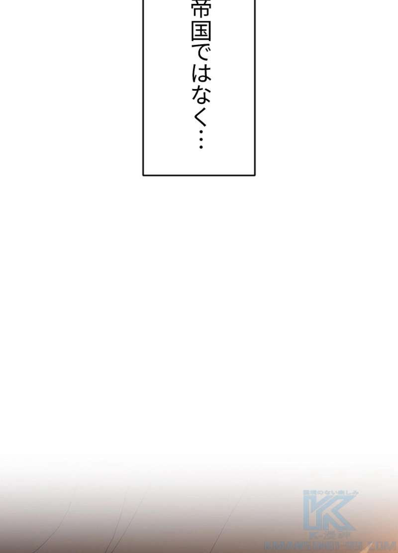 P113